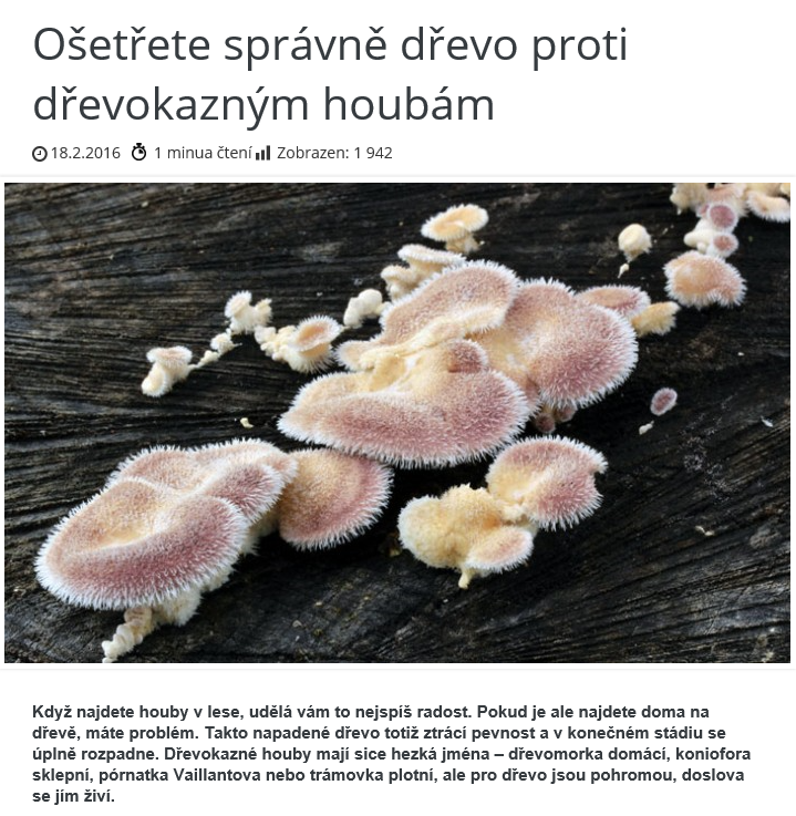 blog Milujeme dřevo